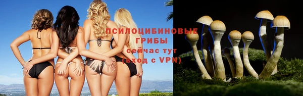 jwh Зеленокумск